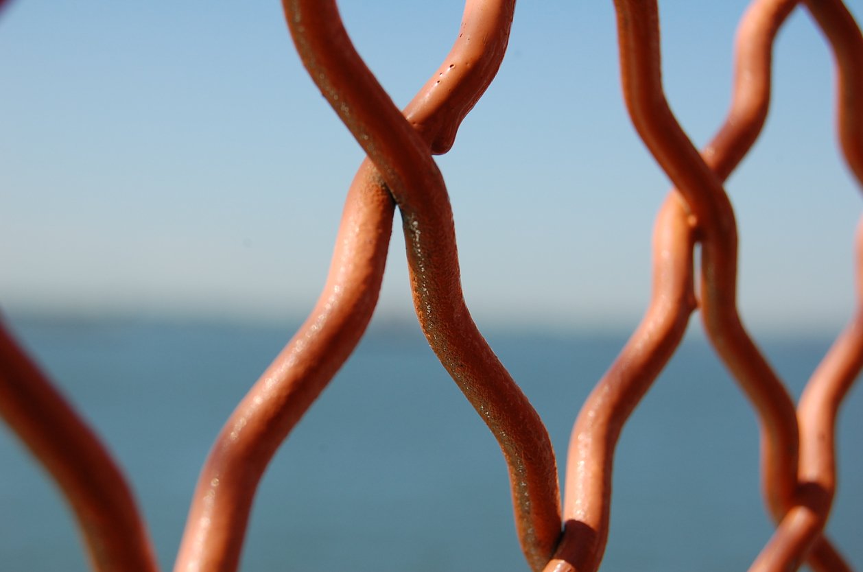 painted chain link fence