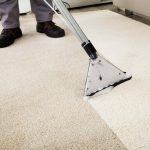 Professional Cleaning Services
