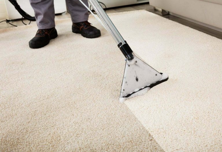 Professional Cleaning Services